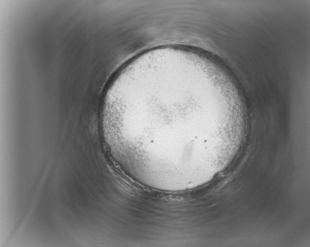 X0000067481505200604281906