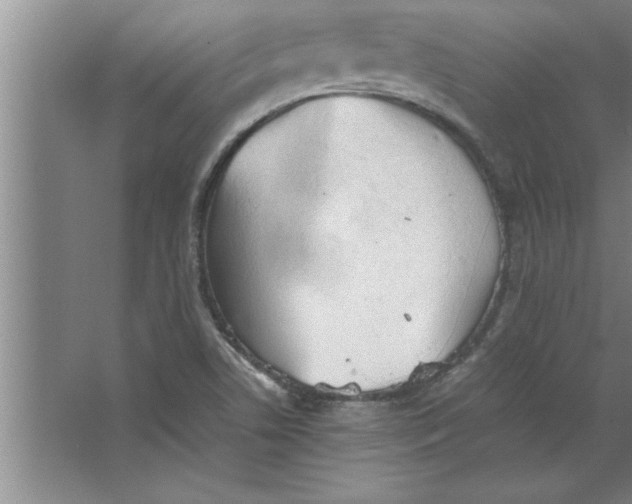 X0000067481506200604281906