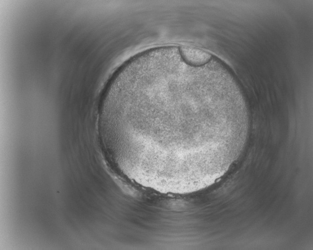 X0000067481507200604281906