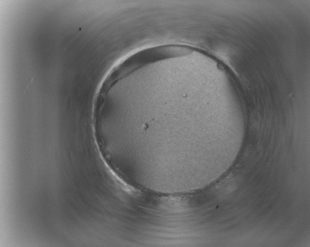 X0000067481508200604281906