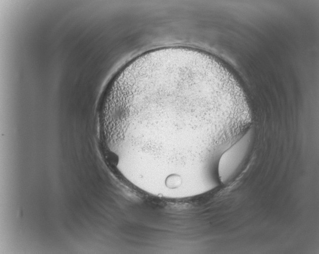 X0000067481509200604281906