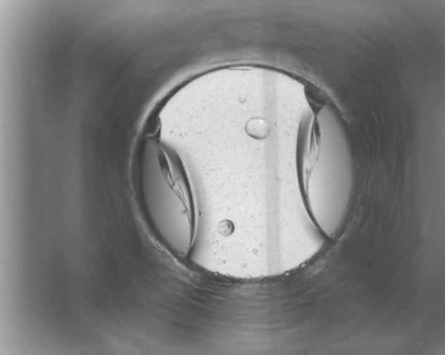 X0000067481510200604281906