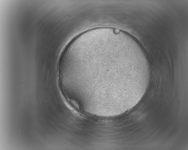 X0000067481511200604281906