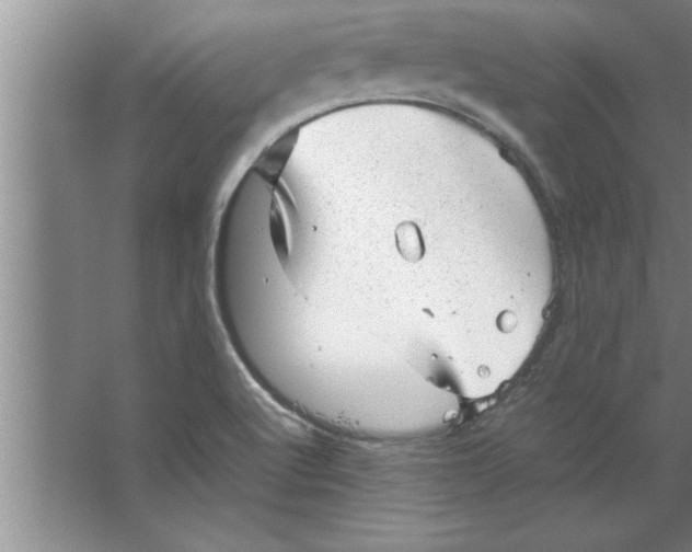 X0000067481512200604281906