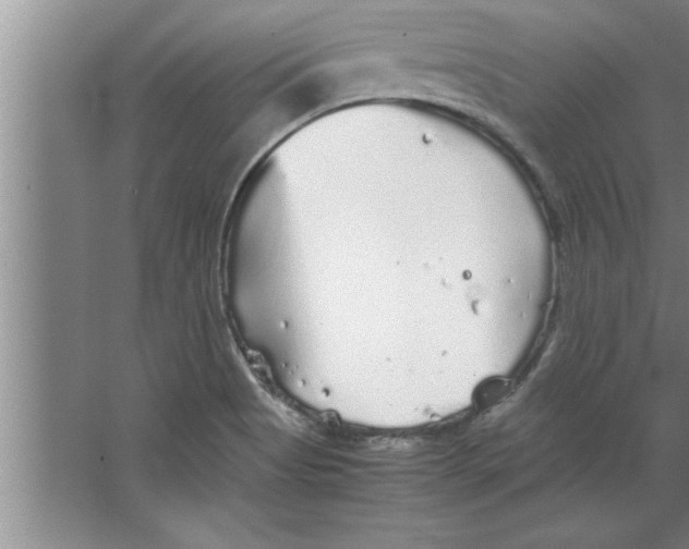 X0000067481513200604281906