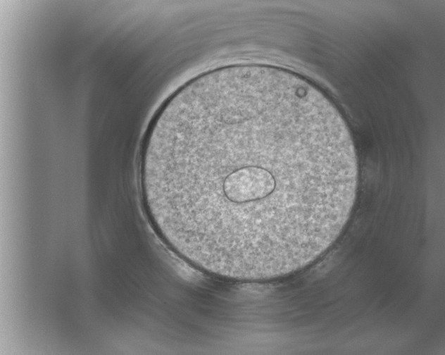 X0000067481514200604281907