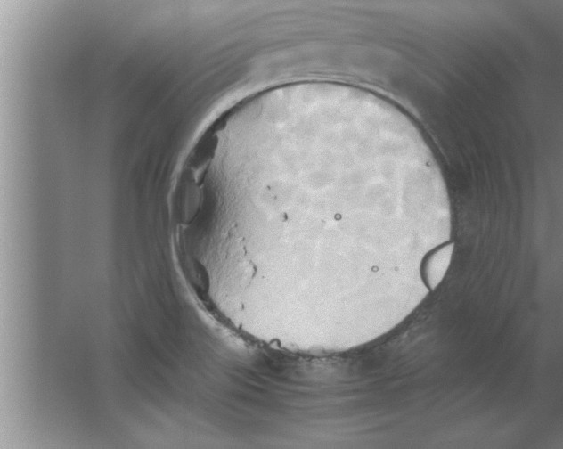 X0000067481515200604281907