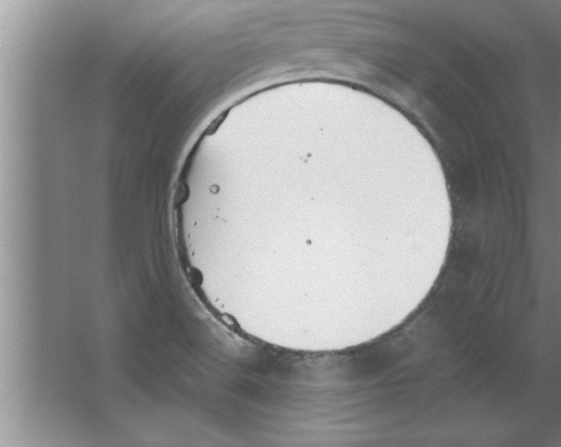 X0000067481516200604281907