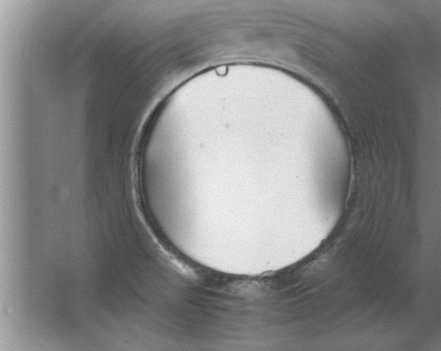 X0000067481517200604281907