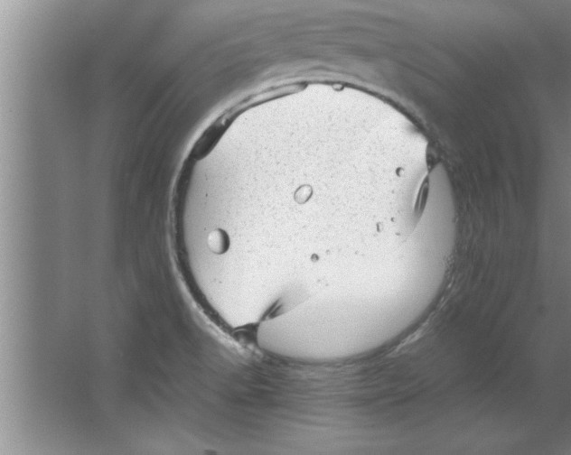 X0000067481518200604281907