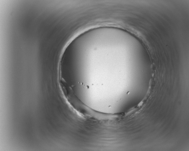 X0000067481520200604281907