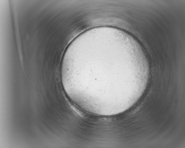 X0000067481521200604281907