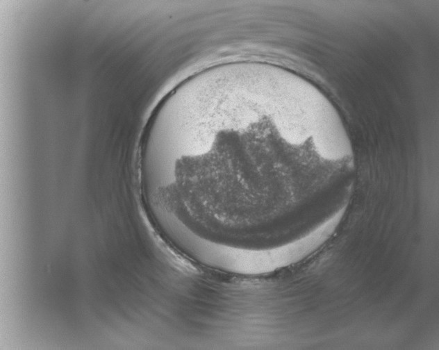 X0000067481522200604281907