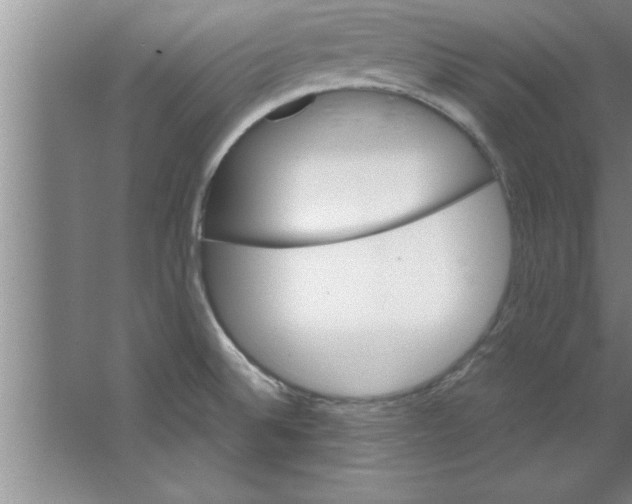 X0000067481524200604281907