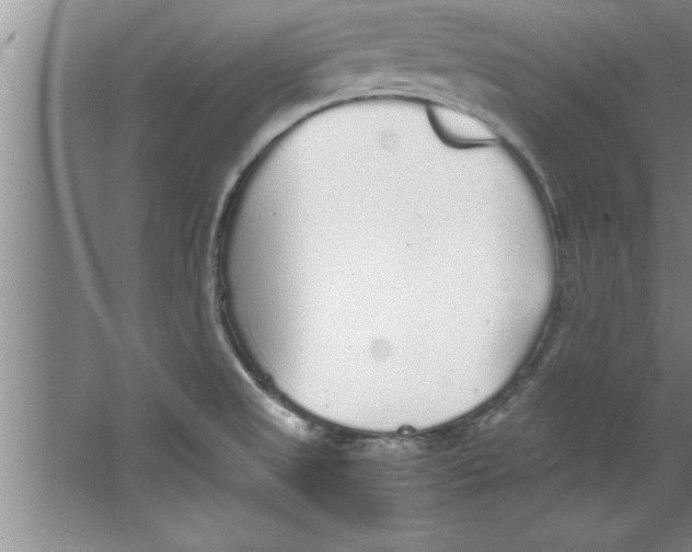 X0000067481525200604281907