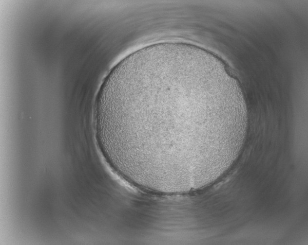 X0000067481526200604281907