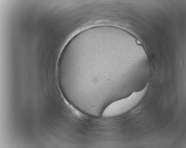 X0000067481527200604281907