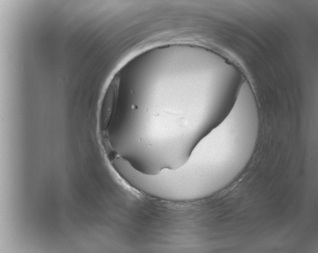 X0000067481528200604281907