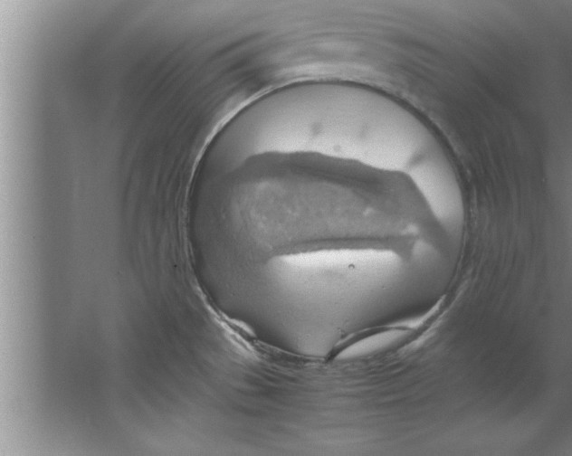 X0000067481529200604281907