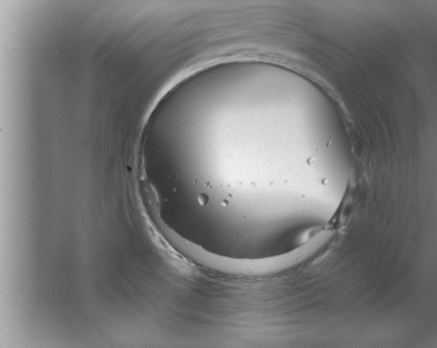 X0000067481530200604281907