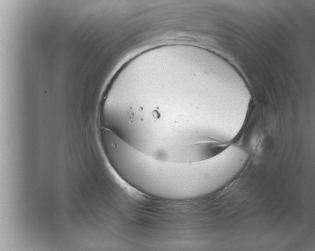 X0000067481531200604281907