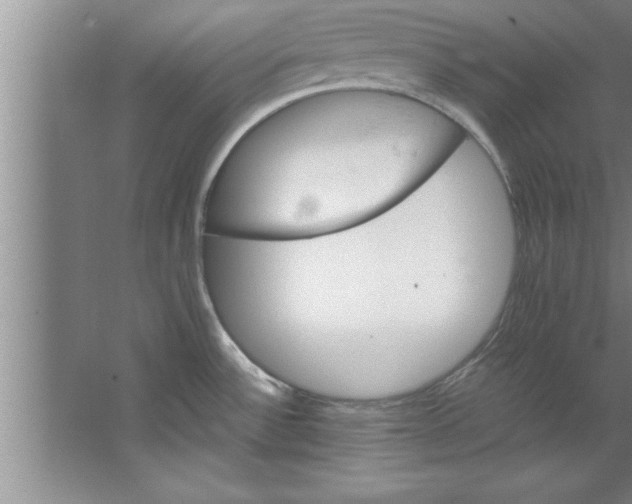 X0000067481532200604281907