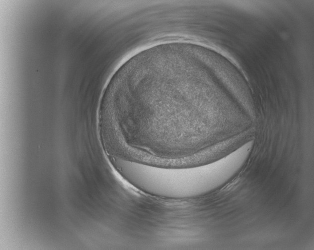 X0000067481535200604281907