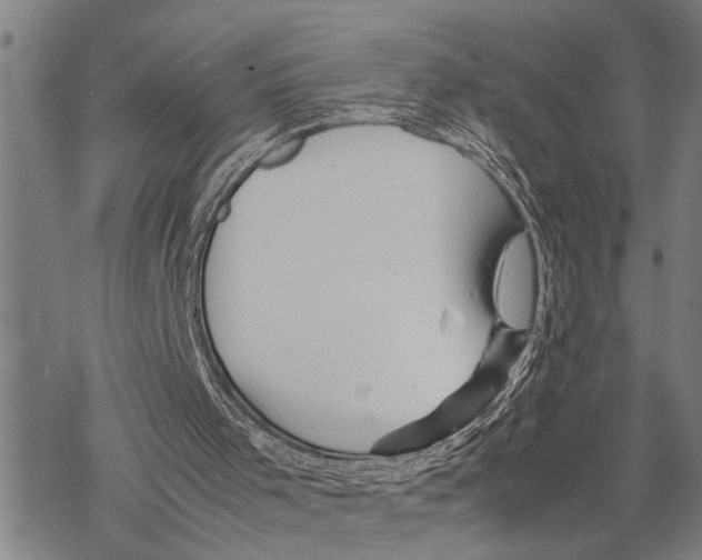 X0000067480001200605051724