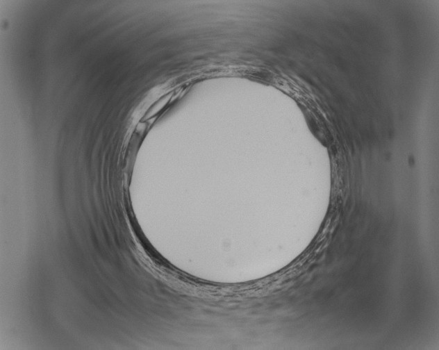 X0000067480003200605051724