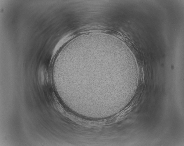 X0000067480004200605051724