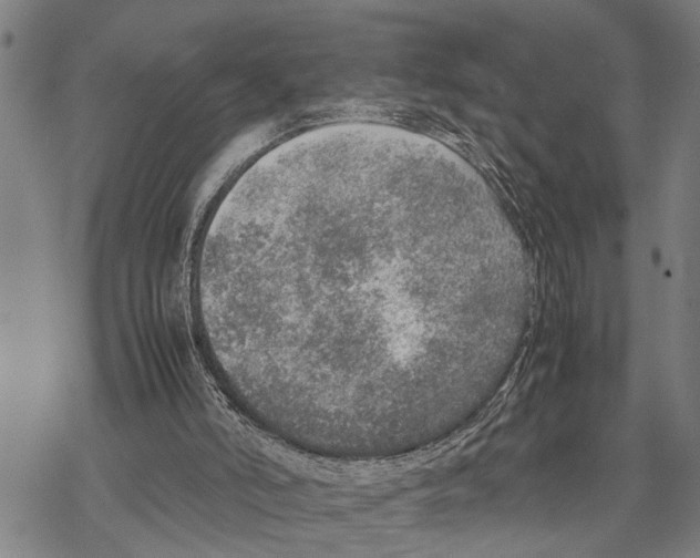 X0000067480006200605051724