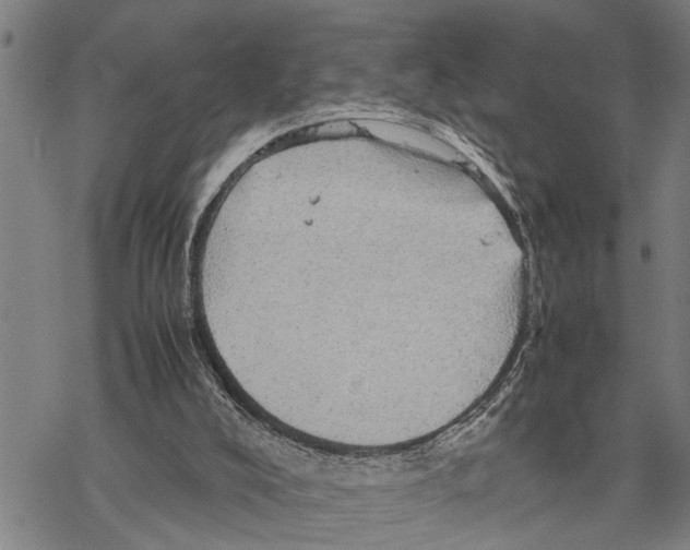 X0000067480008200605051724