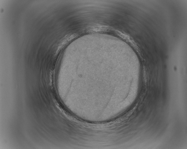 X0000067480010200605051724