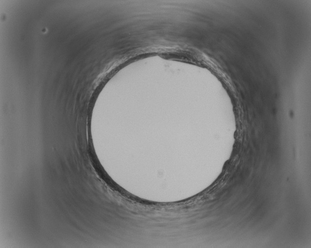 X0000067480011200605051724