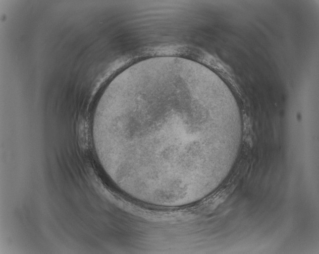 X0000067480012200605051724