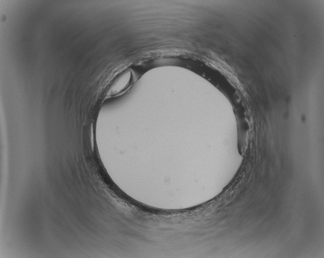 X0000067480013200605051724