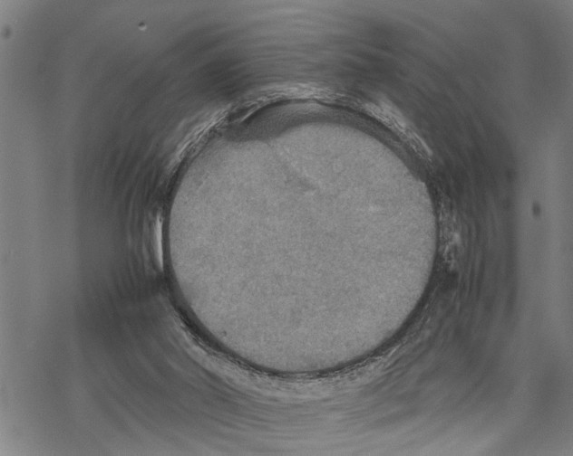 X0000067480014200605051724