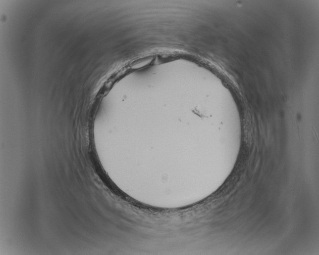 X0000067480015200605051724