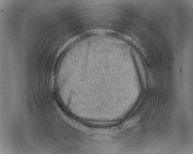 X0000067480016200605051724