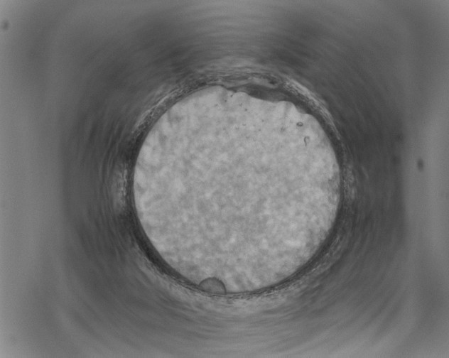 X0000067480018200605051724