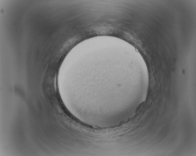 X0000067480019200605051724