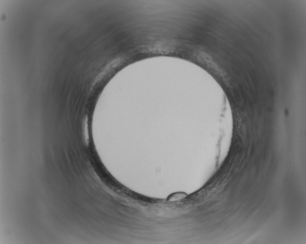 X0000067480020200605051724