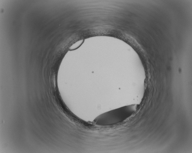 X0000067480021200605051724