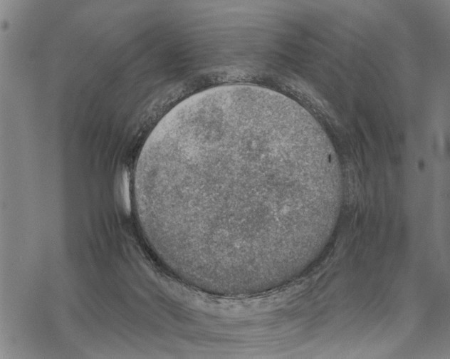 X0000067480022200605051724