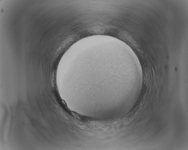 X0000067480023200605051724