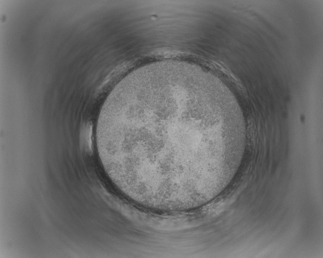 X0000067480024200605051724