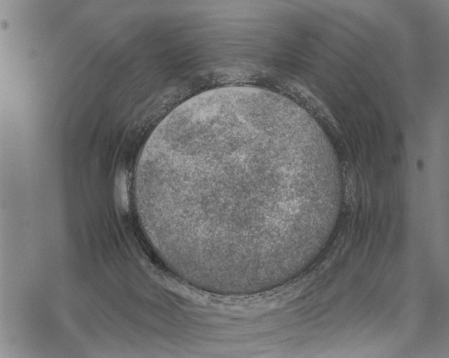 X0000067480026200605051724