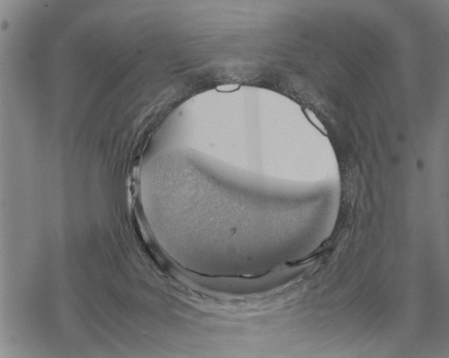 X0000067480027200605051724