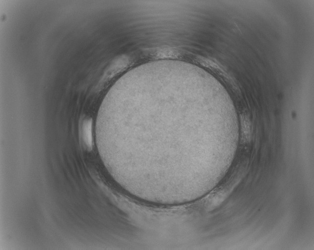 X0000067480028200605051724