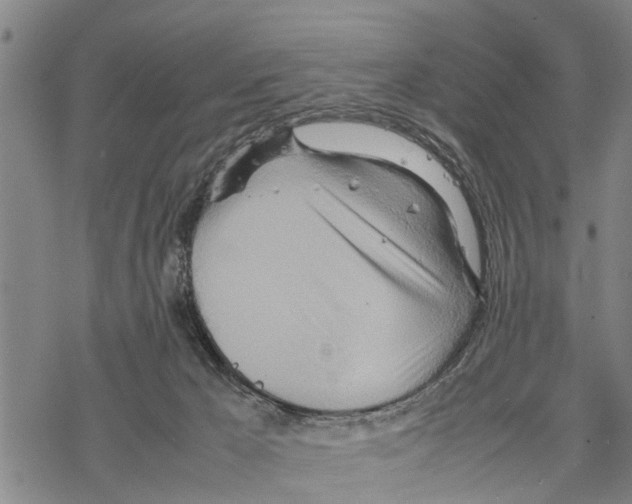 X0000067480029200605051724